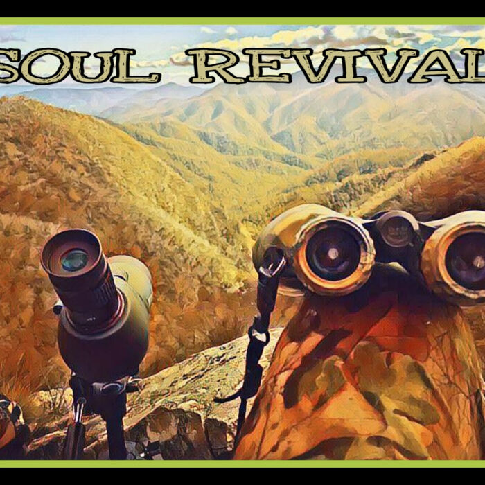 Soul Revival Thumbnail